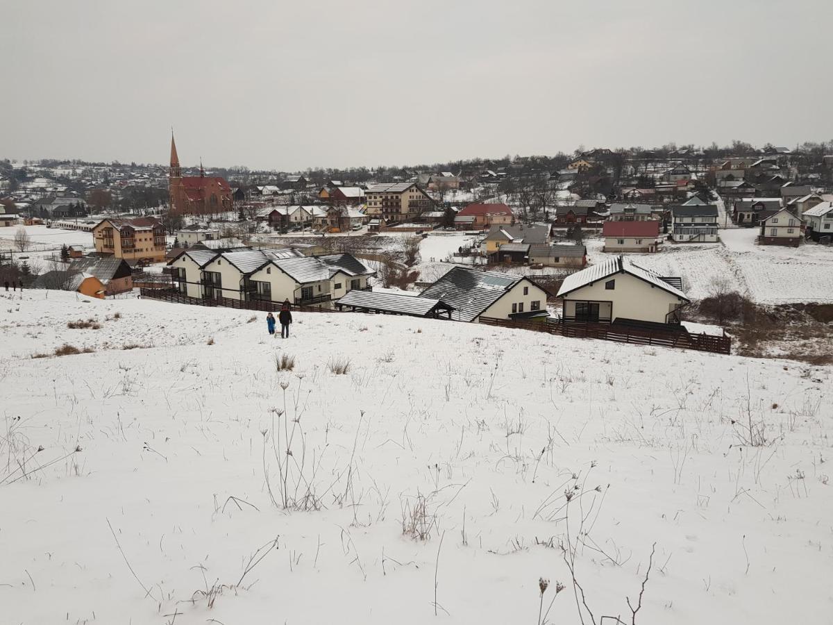 Sat De Vacanta Martisorul Качика Экстерьер фото